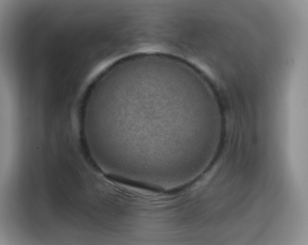 X0000115361311200911101148