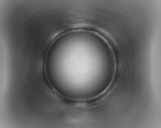 X0000115361313200911101148