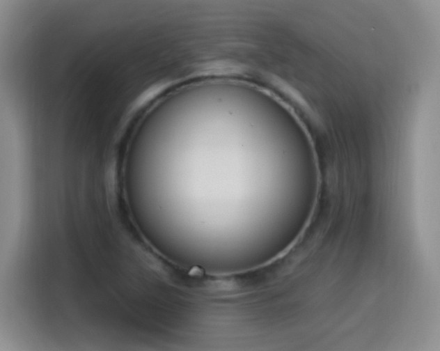X0000115361315200911101148