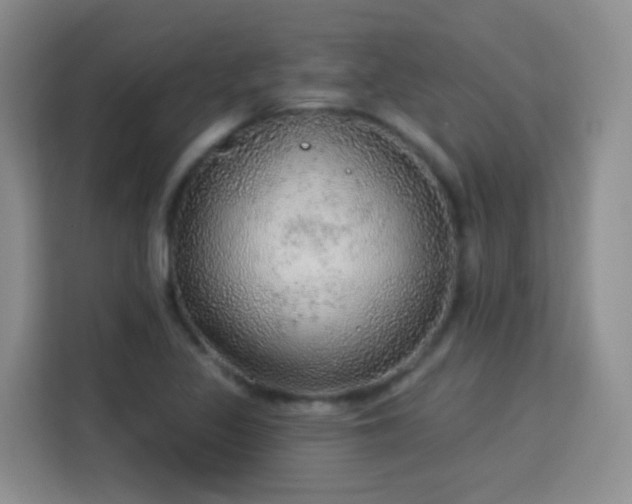 X0000115361317200911101148