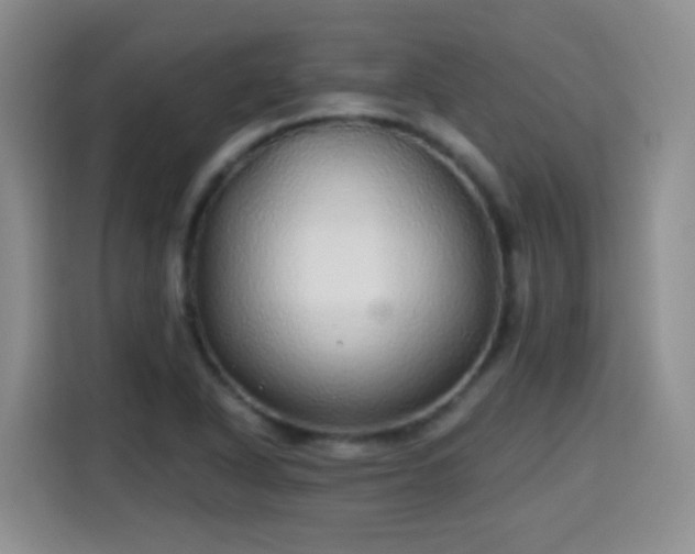 X0000115361318200911101148