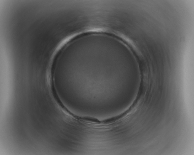 X0000115361319200911101148
