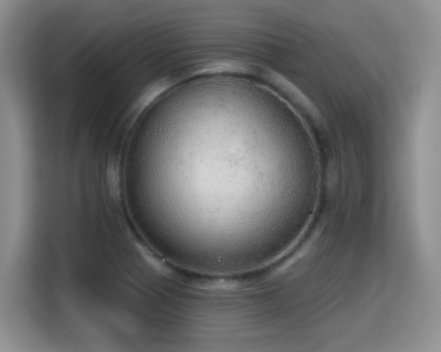 X0000115361321200911101148