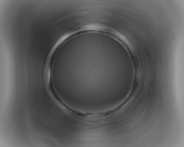 X0000115361323200911101148