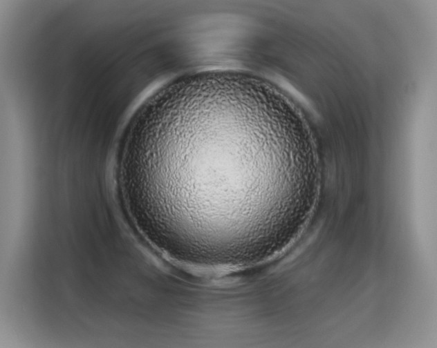 X0000115361325200911101148