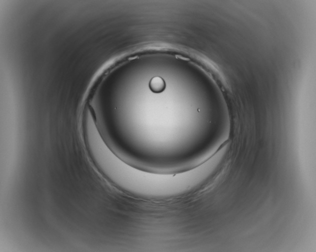 X0000115361326200911101148
