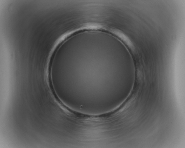 X0000115361327200911101148
