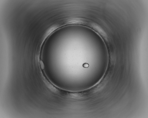 X0000115361330200911101148