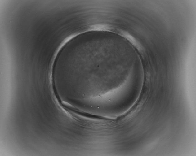 X0000115361331200911101148