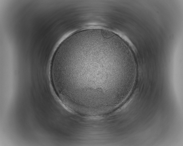 X0000115361333200911101148