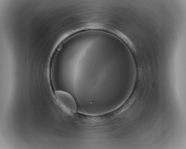 X0000115361334200911101149