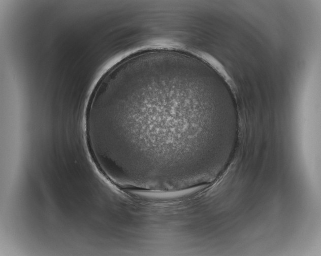 X0000115361335200911101149