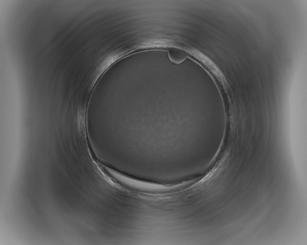 X0000115361337200911101149