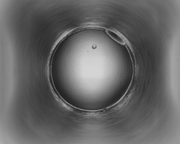 X0000115361341200911101149