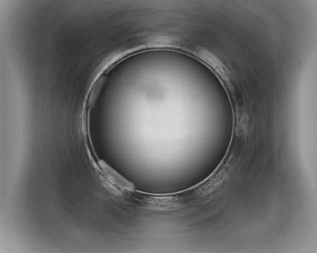 X0000115361342200911101149