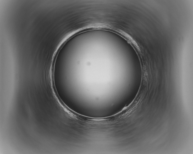 X0000115361343200911101149