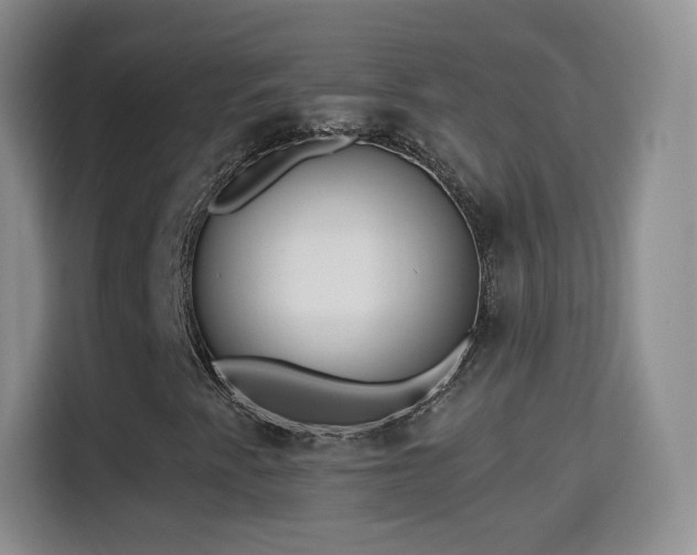 X0000115361345200911101148