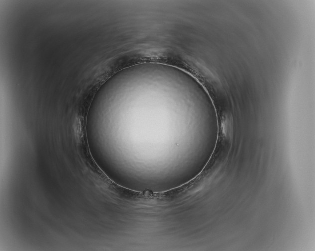 X0000115361347200911101148