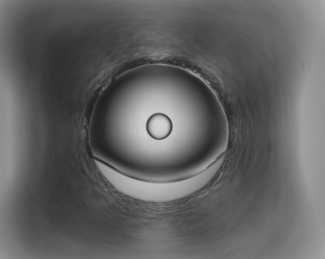 X0000115361349200911101148