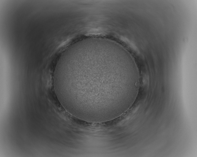 X0000115361350200911101148