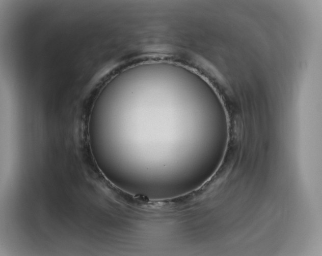 X0000115361352200911101148