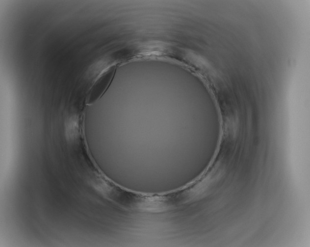 X0000115361353200911101148
