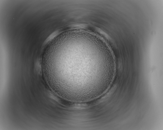 X0000115361354200911101148