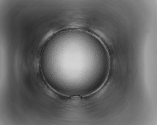 X0000115361355200911101148