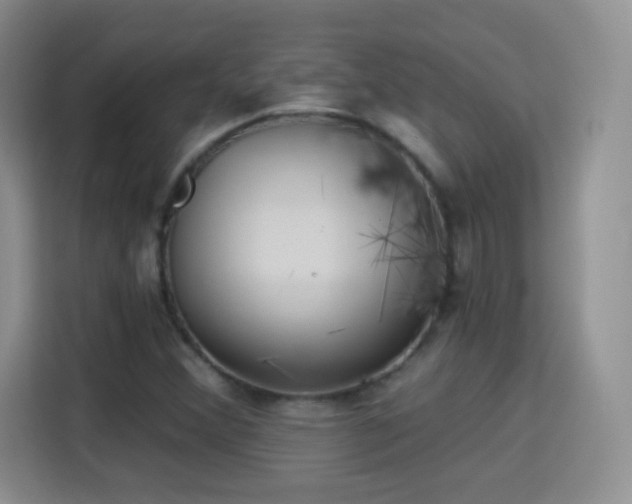 X0000115361356200911101148