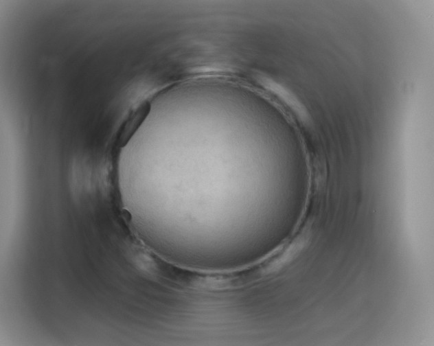 X0000115361357200911101148