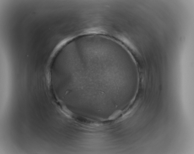 X0000115361358200911101148