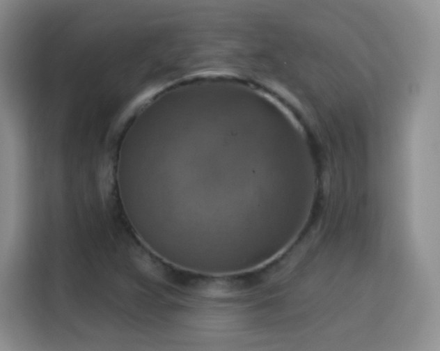 X0000115361359200911101148