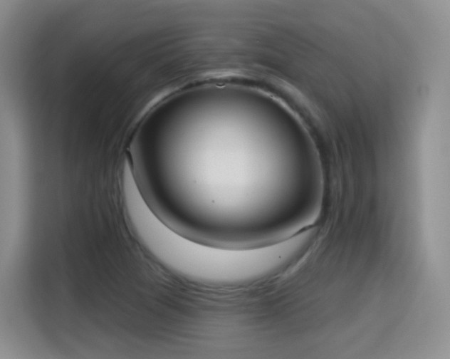 X0000115361361200911101148