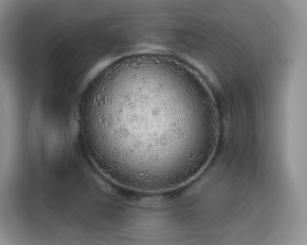 X0000115361363200911101148