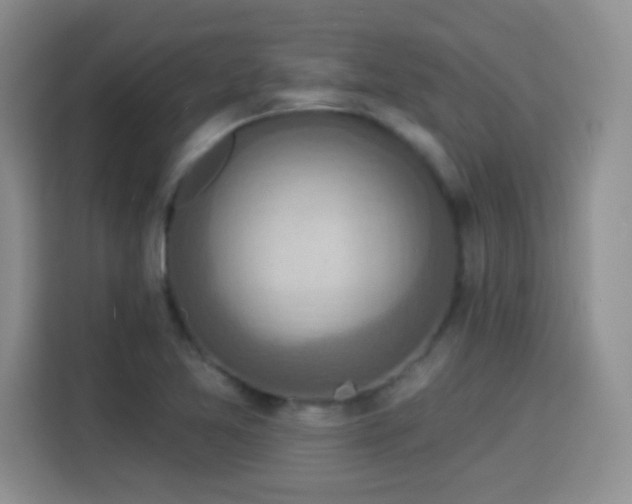 X0000115361365200911101148