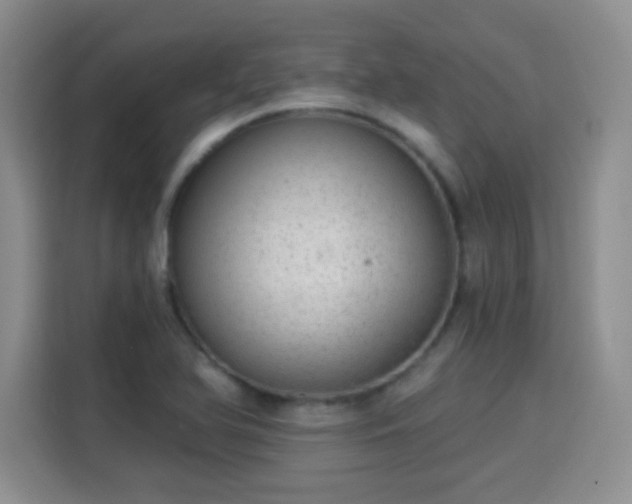 X0000115361366200911101148