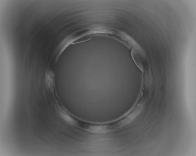 X0000115361369200911101148