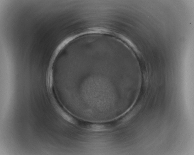 X0000115361371200911101148