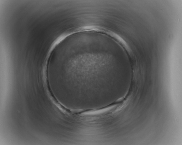 X0000115361373200911101148