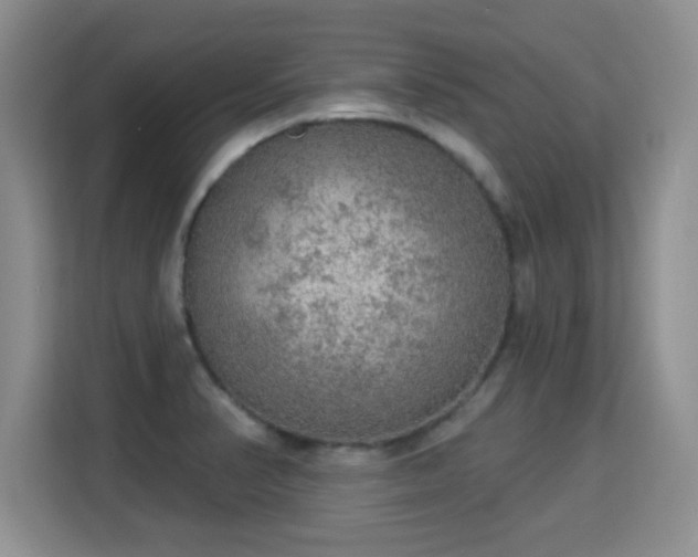 X0000115361374200911101148
