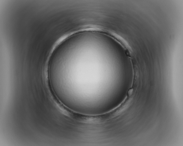 X0000115361375200911101148