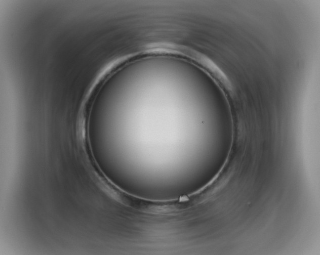 X0000115361376200911101148