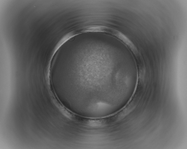 X0000115361378200911101148