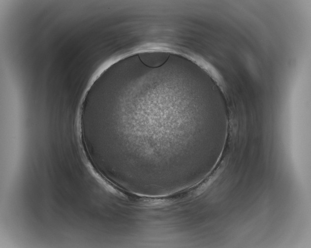 X0000115361382200911101148