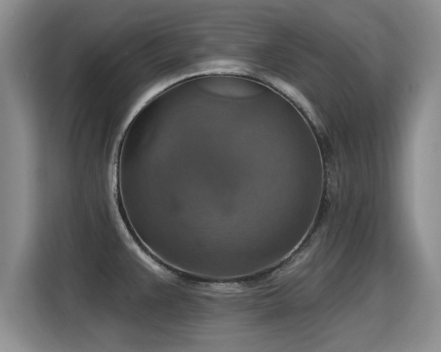 X0000115361383200911101148
