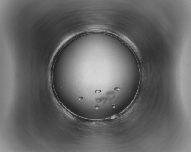 X0000115361384200911101148
