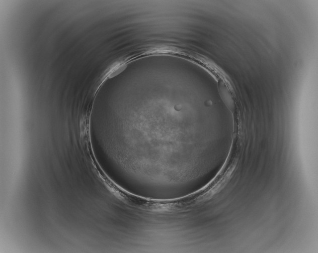 X0000115361385200911101148