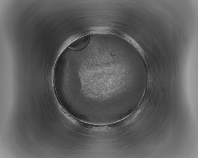 X0000115361386200911101147
