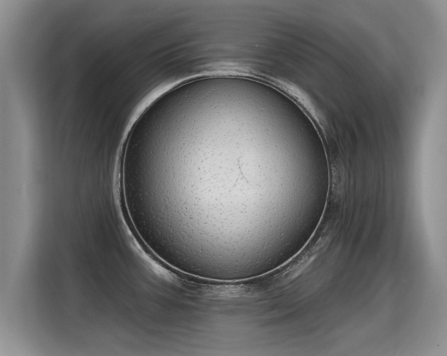 X0000115361387200911101147