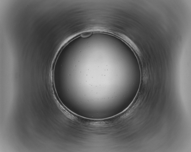 X0000115361388200911101147